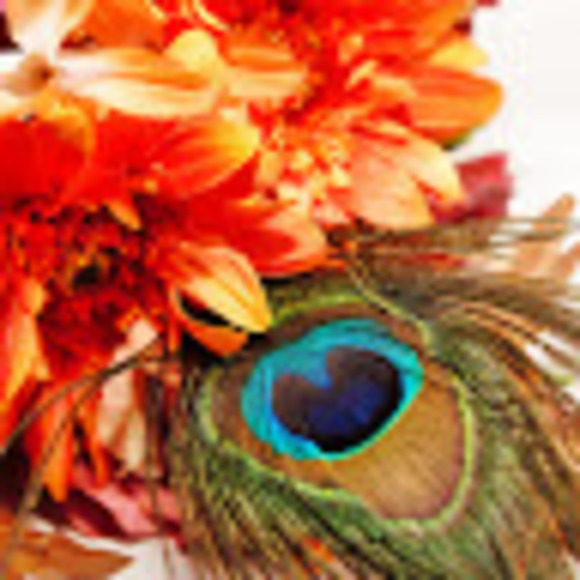 Meet your Posher, Photography/floral design - Picture 1 of 1